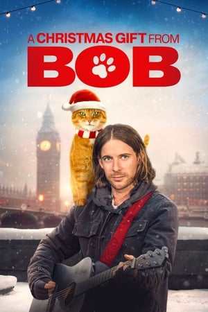 Mi Navidad con Bob