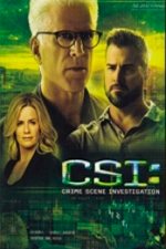 CSI: Las Vegas – Temporada 6