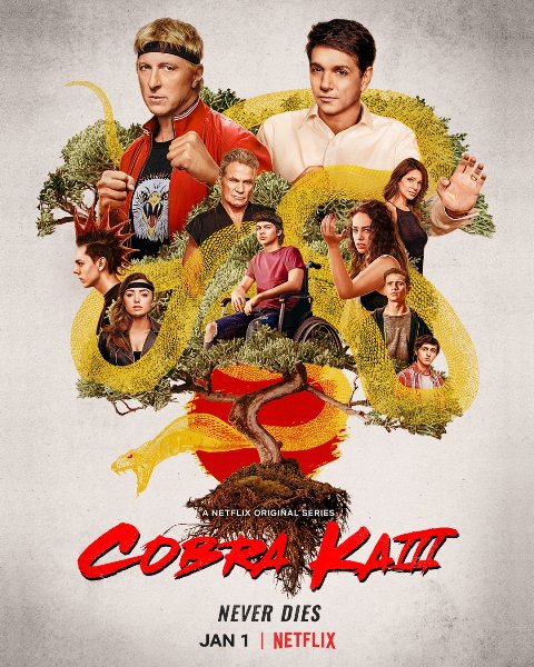 Cobra Kai Temporada 4